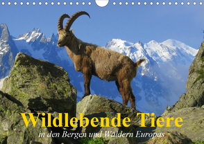 Wildlebende Tiere in den Bergen und Wäldern Europas (Wandkalender 2021 DIN A4 quer) von Stanzer,  Elisabeth