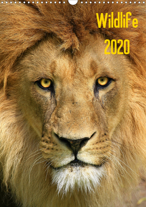 Wildlife 2020 (Wandkalender 2020 DIN A3 hoch) von Klingebiel,  Jens