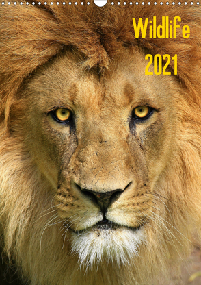 Wildlife 2021 (Wandkalender 2021 DIN A3 hoch) von Klingebiel,  Jens