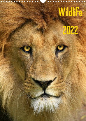 Wildlife 2022 (Wandkalender 2022 DIN A3 hoch) von Klingebiel,  Jens