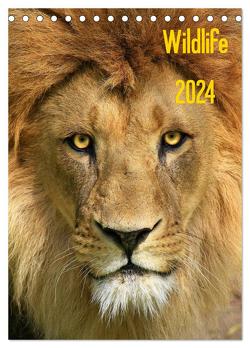 Wildlife 2024 (Tischkalender 2024 DIN A5 hoch), CALVENDO Monatskalender von Klingebiel,  Jens