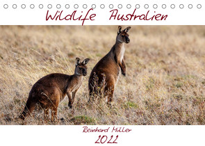 Wildlife Australien (Tischkalender 2022 DIN A5 quer) von Müller,  Reinhard