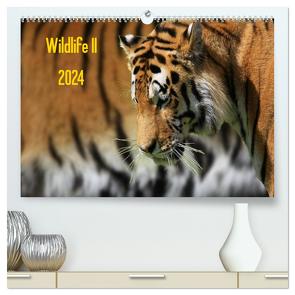 Wildlife II / 2024 (hochwertiger Premium Wandkalender 2024 DIN A2 quer), Kunstdruck in Hochglanz von Klingebiel,  Jens