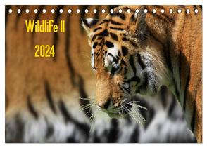 Wildlife II / 2024 (Tischkalender 2024 DIN A5 quer), CALVENDO Monatskalender von Klingebiel,  Jens