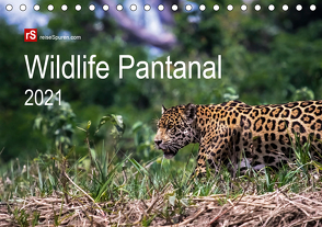 Wildlife Pantanal 2021 (Tischkalender 2021 DIN A5 quer) von Bergwitz,  Uwe