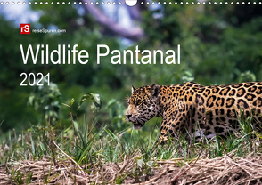 Wildlife Pantanal 2021 (Wandkalender 2021 DIN A3 quer) von Bergwitz,  Uwe