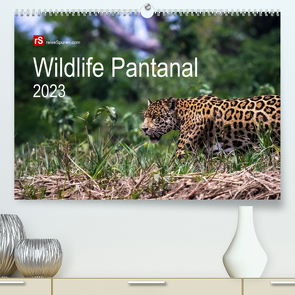 Wildlife Pantanal 2023 (Premium, hochwertiger DIN A2 Wandkalender 2023, Kunstdruck in Hochglanz) von Bergwitz,  Uwe