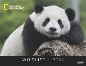 Wildlife Posterkalender National Geographic 2022 von NAT GEO