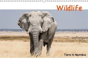 Wildlife – Tiere in Namibia (Wandkalender 2019 DIN A3 quer) von Kunert,  Matthias