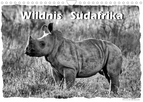 Wildnis Südafrika (Wandkalender 2023 DIN A4 quer) von Wulf,  Guido