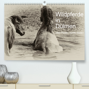 Wildpferde in Dülmen/ wilde Pferde – sanfte Seelen (Premium, hochwertiger DIN A2 Wandkalender 2020, Kunstdruck in Hochglanz) von Dederichs,  Karin