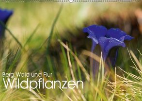 Wildpflanzen – Berg, Wald und Flur (Wandkalender 2019 DIN A2 quer) von Niederkofler,  Georg