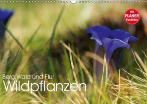 Wildpflanzen – Berg, Wald und Flur (Wandkalender 2019 DIN A3 quer) von Niederkofler,  Georg