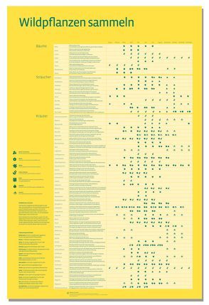 Wildpflanzen sammeln – der Sammelkalender als Plakat von Büning,  Christian