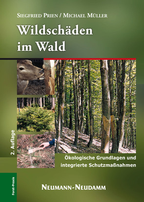 Wildschäden im Wald von Prien,  Siegfried