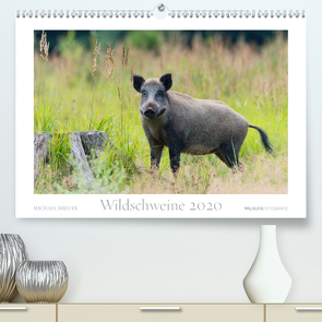 Wildschweine 2020 (Premium, hochwertiger DIN A2 Wandkalender 2020, Kunstdruck in Hochglanz) von Breuer,  Michael