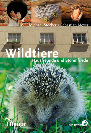 Wildtiere von Bauer,  Karin, Meyer,  Sebastian, Stöcker,  Michael