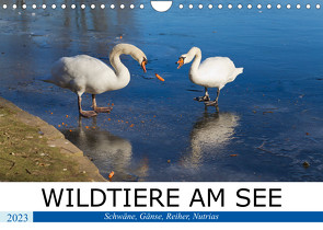 WILDTIERE AM SEE (Wandkalender 2023 DIN A4 quer) von boeTtchEr,  U