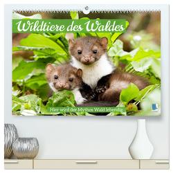 Wildtiere des Waldes: Hier wird der Mythos Wald lebendig (hochwertiger Premium Wandkalender 2024 DIN A2 quer), Kunstdruck in Hochglanz von CALVENDO,  CALVENDO