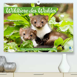 Wildtiere des Waldes: Hier wird der Mythos Wald lebendig (Premium, hochwertiger DIN A2 Wandkalender 2023, Kunstdruck in Hochglanz) von CALVENDO