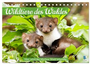 Wildtiere des Waldes: Hier wird der Mythos Wald lebendig (Tischkalender 2024 DIN A5 quer), CALVENDO Monatskalender von CALVENDO,  CALVENDO