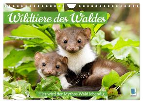 Wildtiere des Waldes: Hier wird der Mythos Wald lebendig (Wandkalender 2024 DIN A4 quer), CALVENDO Monatskalender von CALVENDO,  CALVENDO