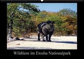 Wildtiere im Etosha Nationalpark (Wandkalender 2018 DIN A2 quer) von Steenblock,  Ewald