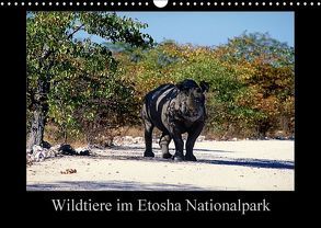 Wildtiere im Etosha Nationalpark (Wandkalender 2018 DIN A3 quer) von Steenblock,  Ewald