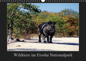 Wildtiere im Etosha Nationalpark (Wandkalender 2019 DIN A3 quer) von Steenblock,  Ewald