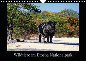 Wildtiere im Etosha Nationalpark (Wandkalender 2020 DIN A4 quer) von Steenblock,  Ewald