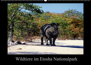 Wildtiere im Etosha Nationalpark (Wandkalender 2022 DIN A2 quer) von Steenblock,  Ewald