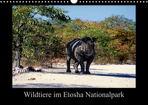 Wildtiere im Etosha Nationalpark (Wandkalender 2023 DIN A3 quer) von Steenblock,  Ewald