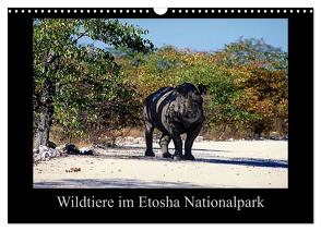 Wildtiere im Etosha Nationalpark (Wandkalender 2024 DIN A3 quer), CALVENDO Monatskalender von Steenblock,  Ewald