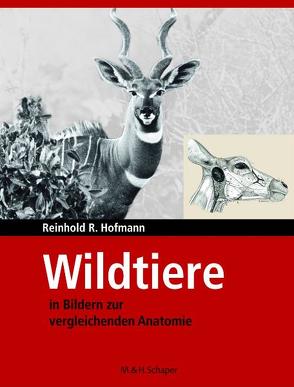 Wildtiere in Bildern zur Vergleichenden Anatome von Hofmann,  Reinhold R