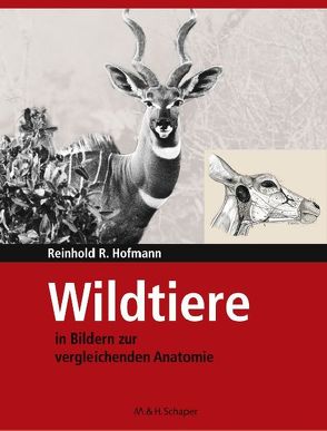 Wildtiere in Bildern zur Vergleichenden Anatomie von Hofmann,  Reinhold R