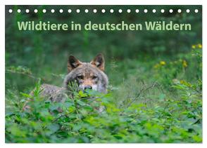 Wildtiere in deutschen Wäldern (Tischkalender 2024 DIN A5 quer), CALVENDO Monatskalender von Jähne,  Karin