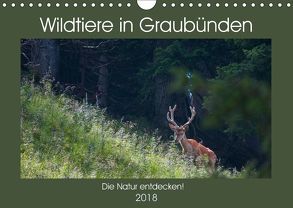 Wildtiere in Graubünden – Die Natur entdecken! (Wandkalender 2018 DIN A4 quer) von Jürg Plattner,  www.naturfoto-plattner.ch