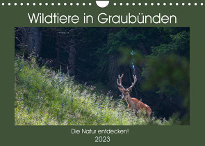 Wildtiere in Graubünden – Die Natur entdecken! (Wandkalender 2023 DIN A4 quer) von Jürg Plattner,  www.naturfoto-plattner.ch