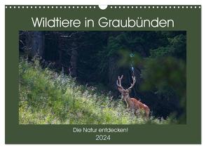 Wildtiere in Graubünden – Die Natur entdecken! (Wandkalender 2024 DIN A3 quer), CALVENDO Monatskalender von Jürg Plattner,  www.naturfoto-plattner.ch