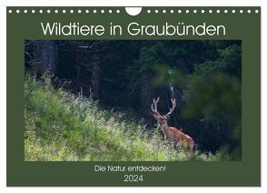 Wildtiere in Graubünden – Die Natur entdecken! (Wandkalender 2024 DIN A4 quer), CALVENDO Monatskalender von Jürg Plattner,  www.naturfoto-plattner.ch