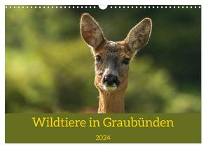 Wildtiere in Graubünden (Wandkalender 2024 DIN A3 quer), CALVENDO Monatskalender von Plattner,  Jürg