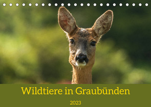 Wildtiere in GraubündenCH-Version (Tischkalender 2023 DIN A5 quer) von Plattner,  Jürg