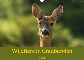 Wildtiere in GraubündenCH-Version (Wandkalender 2023 DIN A3 quer) von Plattner,  Jürg