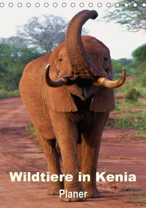 Wildtiere in Kenia / Planer (Tischkalender 2018 DIN A5 hoch) von Rudolf Blank,  Dr.