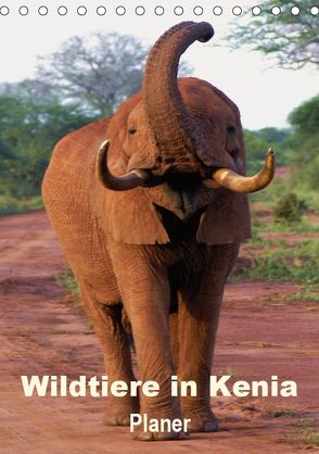 Wildtiere in Kenia / Planer (Tischkalender 2019 DIN A5 hoch) von Rudolf Blank,  Dr.