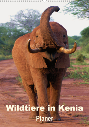 Wildtiere in Kenia / Planer (Wandkalender 2020 DIN A2 hoch) von Rudolf Blank,  Dr.