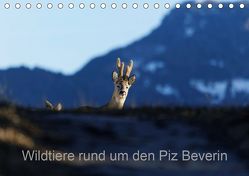 Wildtiere rund um den Piz BeverinCH-Version (Tischkalender 2020 DIN A5 quer) von Danuser,  Christian