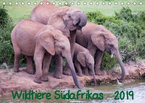 Wildtiere Südafrikas / Geburtstagskalender (Tischkalender 2019 DIN A5 quer) von Beringer,  Robert