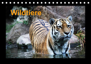 Wildtiere (Tischkalender 2022 DIN A5 quer) von Knof,  Claudia, www.cknof.de