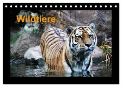 Wildtiere (Tischkalender 2024 DIN A5 quer), CALVENDO Monatskalender von Knof,  www.cknof.de,  Claudia